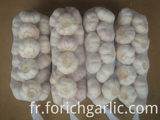 1kg Normal White Garlic